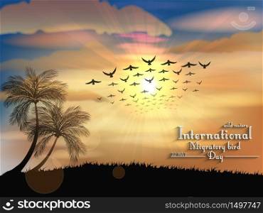Migratory birds day in sunset light.Vector