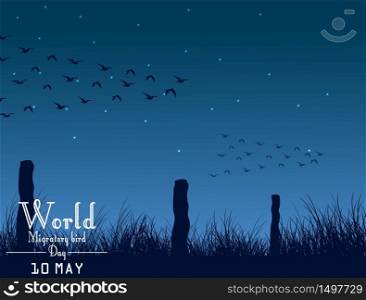 Migratory birds day on night background.Vector