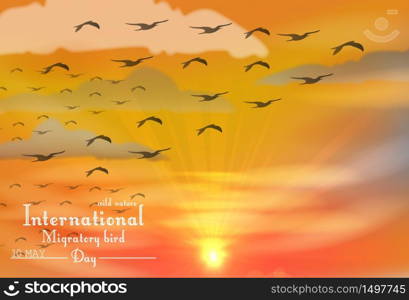 Migratory birds day on sunset.Vector