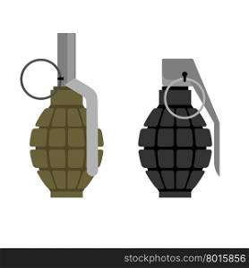Military grenade. Set of military hand grenade: green and black. Ammunition soldier.&#xA;