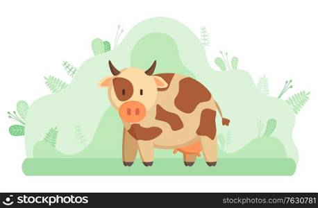 Milk cow, farming and livestock animal or cattle. Domestic mammal with horns and hoofs, breeding and agriculture, meat and dairy product, ranch. Vector illustration in flat cartoon style. Farming and Livestock Animal, Milk Cow or Cattle