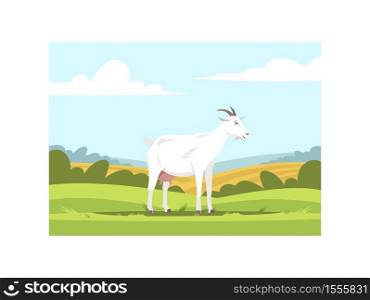 Milk goat on farmland semi flat vector illustration. Domestic animal to produce dairy. Farm pet on ground with grass. Farmland wildlife. Cattle 2D cartoon characters for commercial use. Milk goat on farmland semi flat vector illustration