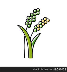 millet plant food color icon vector. millet plant food sign. isolated symbol illustration. millet plant food color icon vector illustration
