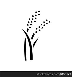 millet plant food glyph icon vector. millet plant food sign. isolated symbol illustration. millet plant food glyph icon vector illustration