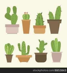Mini cactus set vector image