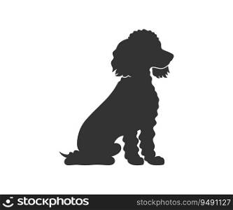 Miniature Poodle silhouette. Vector illustration design.