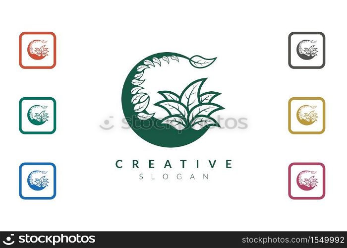 Minimalist and modern vector illustration of a leaf or plant.