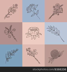 Minimalist line flowers. Simple poster with abstract meadow bouquet. Elegant outline flower, branch, herbs and lotus, plant vector set. Illustration drawing flower, minimalist beauty botanical leaf. Minimalist line flowers. Simple poster with abstract meadow bouquet. Elegant outline flower, olive branch, herbs and lotus, plant vector set