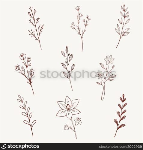 Minimalist wild flowers, herbs, leaves and branches. Hand drawn line art herbs set highlight icon. Botanic elements for logo design, eco style, organic shop. Vector illustration.. Minimalist wildflowers, herbs, leaves and branches. Vector illustration.