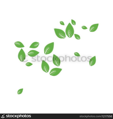Mint leaf Background pattern illustration vector