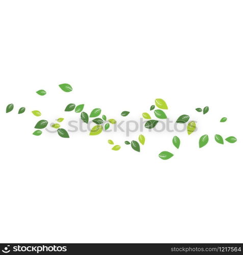 Mint leaf Background pattern illustration vector