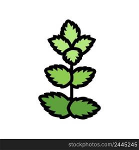 mint leaf color icon vector. mint leaf sign. isolated symbol illustration. mint leaf color icon vector illustration