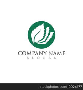 mint leaf green fresh logo design