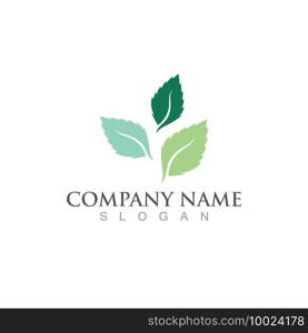 mint leaf green fresh logo design
