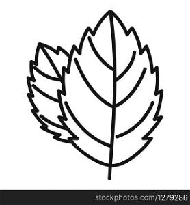 Mint leaf icon. Outline mint leaf vector icon for web design isolated on white background. Mint leaf icon, outline style