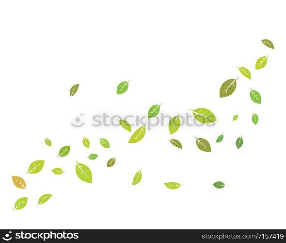 mint leaf illustration vector template design