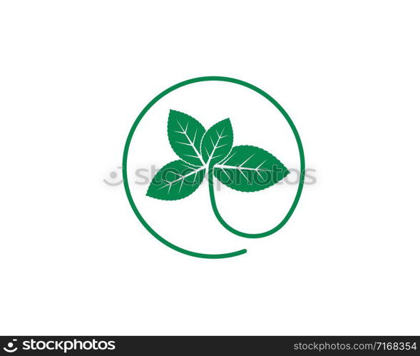 mint leaf illustration vector template design