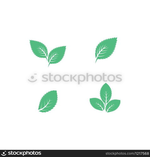 Mint leaf logo illustration vector