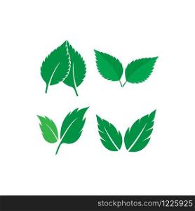 mint leaf logo template design
