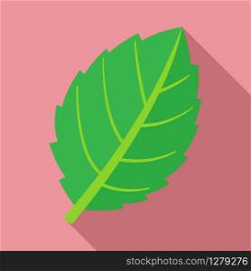 Mint leaf plant icon. Flat illustration of mint leaf plant vector icon for web design. Mint leaf plant icon, flat style