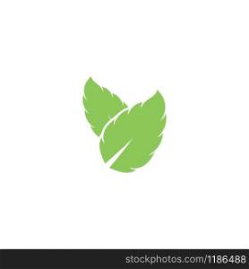 Mint leaf vector icon illustration design