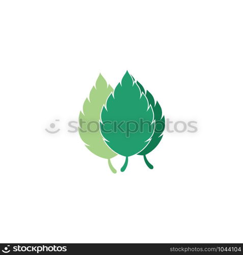 Mint leaves flat vector color icon template