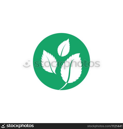 Mint leaves flat vector color icon template