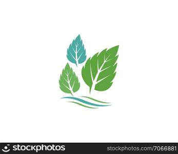 Mint leaves flat vector color icon template