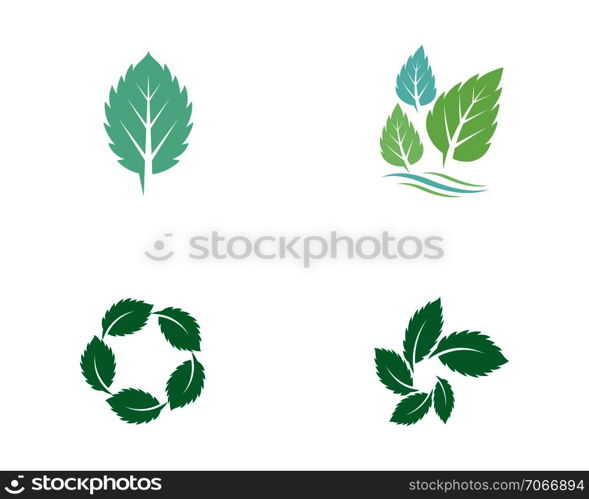 Mint leaves flat vector color icon template