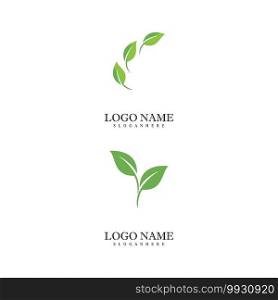 Mint leaves flat vector color icon template