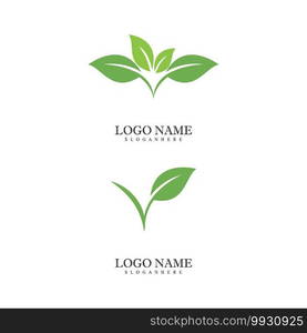 Mint leaves flat vector color icon template