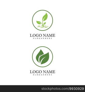 Mint leaves flat vector color icon template