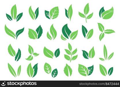 Mint leaves. Green cartoon peppermint and leaves, organic product and vegetarian food logo. Vector herbal symbol natural image. Mint leaves. Green cartoon peppermint and leaves, organic product and vegetarian food logo. Vector herbal symbol