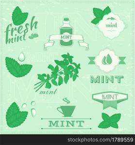 Mint leaves label set. Vector