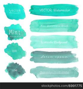 Mint watercolor set on white background, Vector illustration.