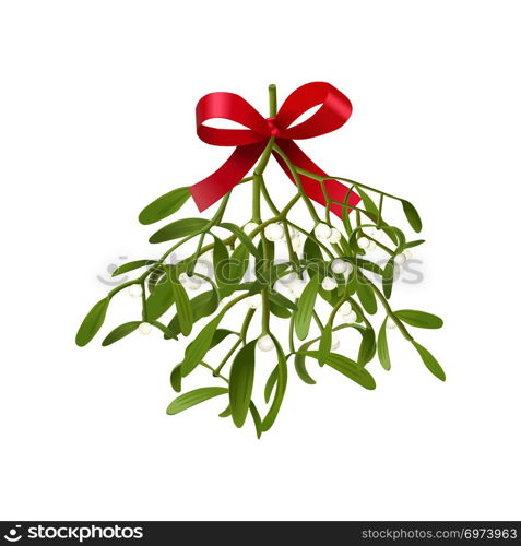 Mistletoe. Vector illustration of hanging fluffy mistletoe sprigs with berries and red bow isolated on white background for Christmas cards and decorative design.. Mistletoe. Vector illustration of hanging fluffy mistletoe sprigs with berries and red bow