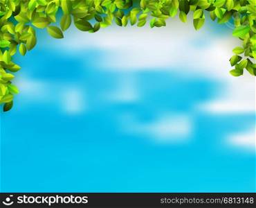 Misty morning in the forest, abstract natural backgrounds. + EPS10 vector file