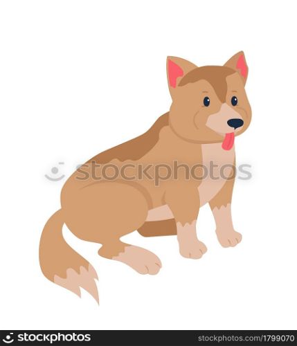 Mixed-breed dog adoption semi flat color vector character. Full body animal on white. Rescuing mongrel puppy isolated modern cartoon style illustration for graphic design and animation. Mixed-breed dog adoption semi flat color vector character