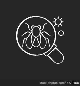 Model organisms chalk white icon on black background. Laboratory experiment on common fly. Genetic research. Biotechnological analysis. Infection discovery. Isolated vector chalkboard illustration. Model organisms chalk white icon on black background