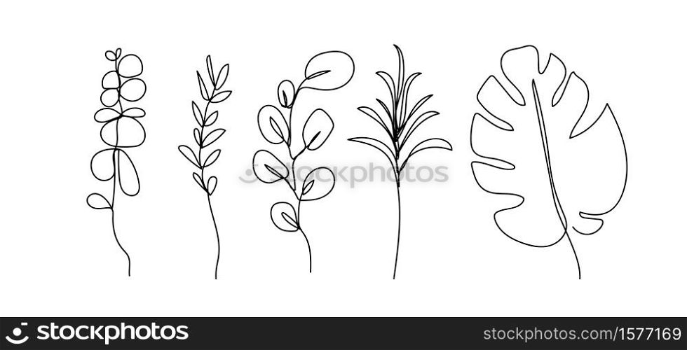 Modern abstract line leaves of isolated on white background. Vector illustrations.