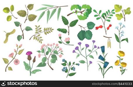 Modern floral and botanical flat vector elements. Wedding design leaves and flowers patterns illustration set for greeting cards. Foliage, nature and garden concept