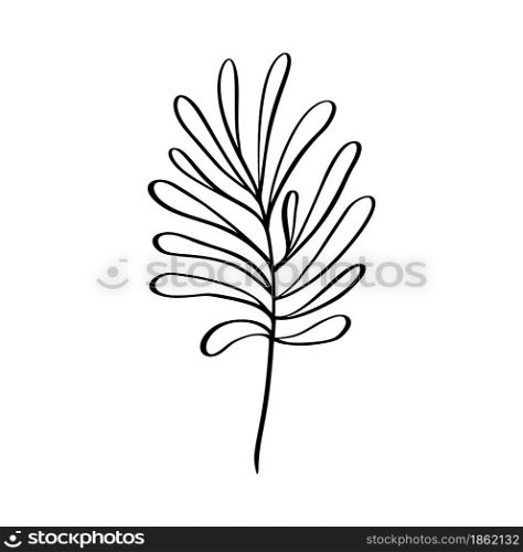 Modern grass leaf vector abstrac illustration. Black and white line art style. Isolated Exotic jungle contemporary trendy illustration. Perfect for posters, instagram posts, stickers.. Modern grass leaf vector abstrac illustration. Black and white line art style. Isolated Exotic jungle contemporary trendy illustration. Perfect for posters, instagram posts, stickers