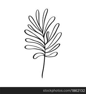 Modern grass leaf vector abstrac illustration. Black and white line art style. Isolated Exotic jungle contemporary trendy illustration. Perfect for posters, instagram posts, stickers.. Modern grass leaf vector abstrac illustration. Black and white line art style. Isolated Exotic jungle contemporary trendy illustration. Perfect for posters, instagram posts, stickers