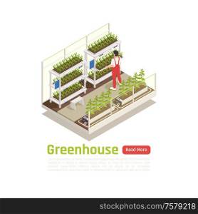 Modern hydroponic gardening system plants care isometric composition with checking water temperature keeping pests away vector illustration