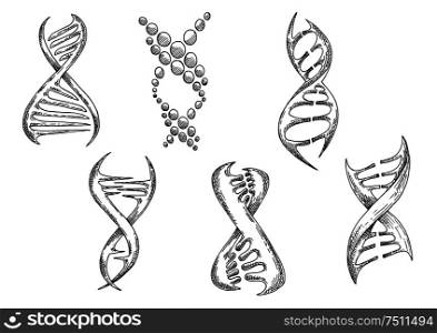 Modern stylized biological models of DNA with double helices. Medicine, genetic science or biotechnology design usage. Sketch style vector icons. DNA models with double helices sketches