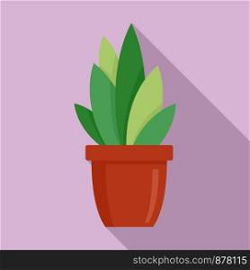 Modern succulent pot icon. Flat illustration of modern succulent pot vector icon for web design. Modern succulent pot icon, flat style