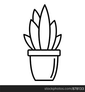Modern succulent pot icon. Outline modern succulent pot vector icon for web design isolated on white background. Modern succulent pot icon, outline style