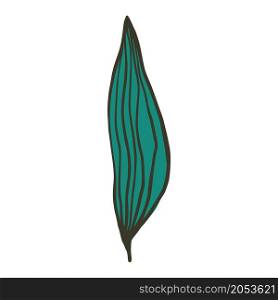 Modern tropical leaf doodle. Green tropical leaves symbol isolated. Print, poster design. Vector illustration. Modern tropical leaf doodle. Green tropical leaves symbol