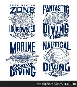 Mollusks and sea snails seashells, corals colony t-shirt print template. Marine diving and spearfishing club clothing custom print with spider and queen conch, Nautilus shell and vintage typography. Conchs and Nautilus seashell, coral t-shit print