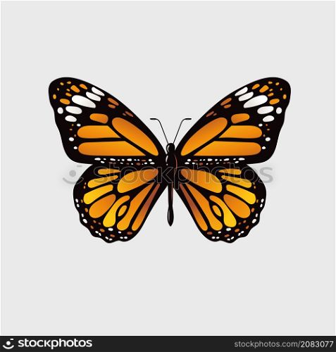 Monarch butterfly Hand drawn vector illustration
